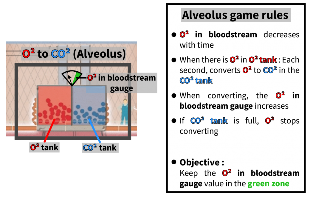 lungs_alveolus_02